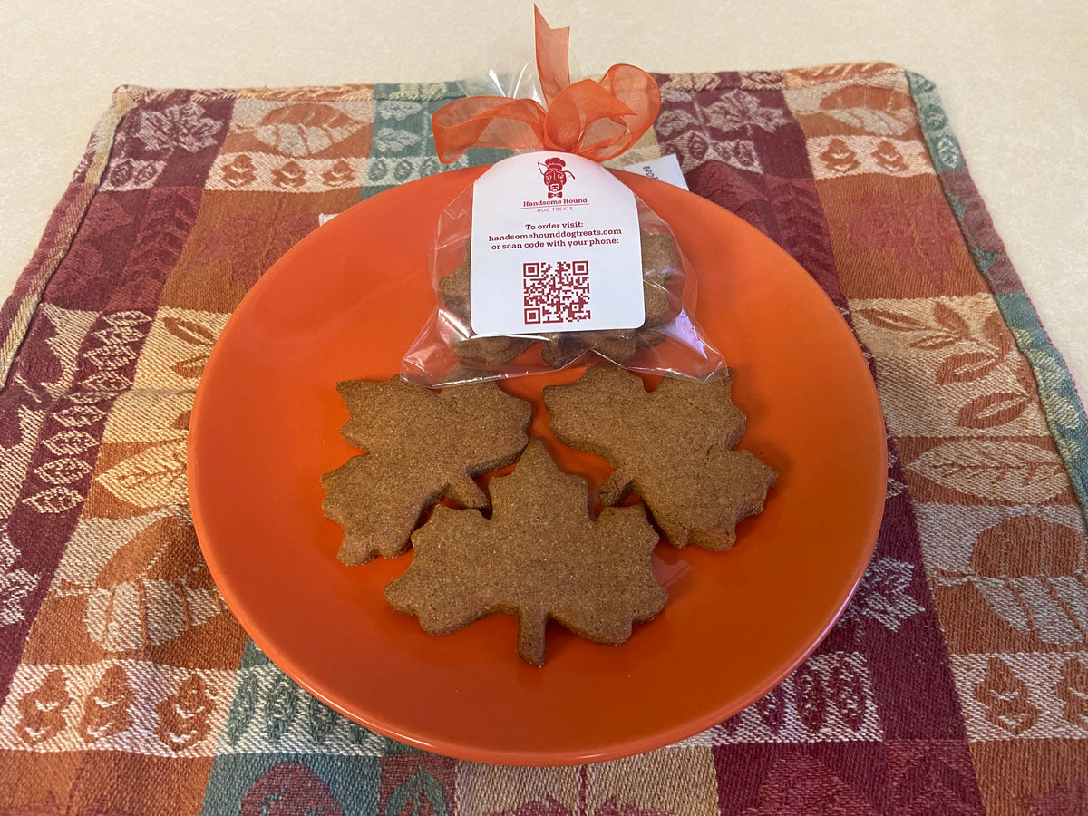 BIG Bones Dog Treats