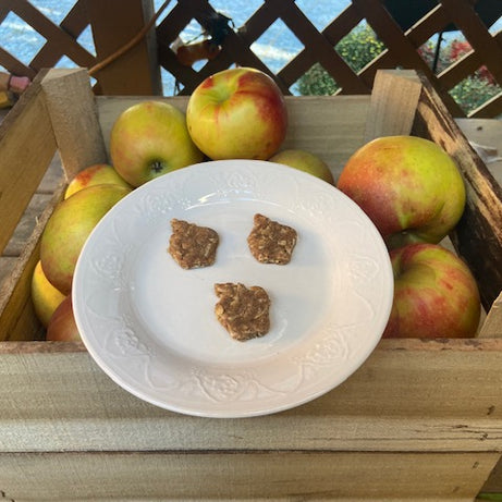 Apple Cinnamon Yummies Dog Treats