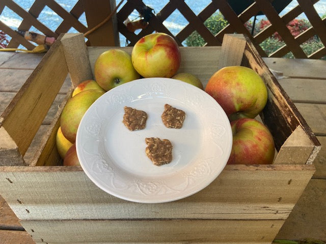 Apple Cinnamon Yummies Dog Treats