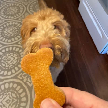 BIG Bones Dog Treats