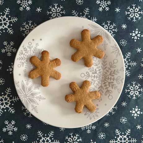 BIG Bones Dog Treats