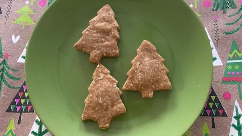 Seasonal BIG Bones Dog Treats