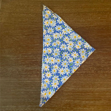 Daisies Bandana