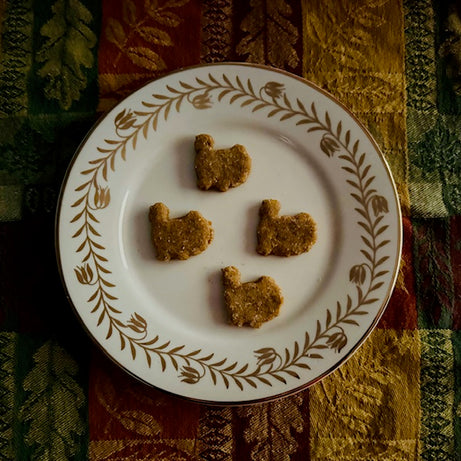 Chicken & Sage Dog Treats
