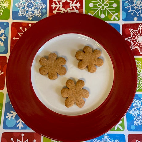 Seasonal BIG Bones Dog Treats