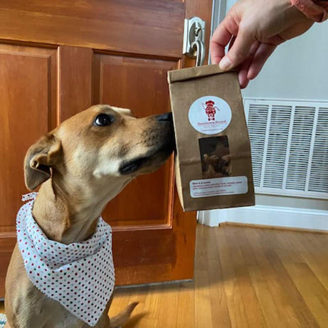 Dog Treat Subscription
