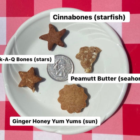 Summer Mix Dog Treats