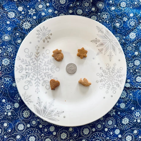 Winter Mix Dog Treats