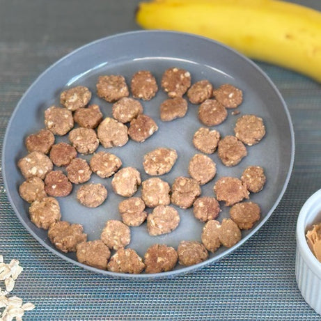 Peanut Butter Banana Oatmeal Dog Treats