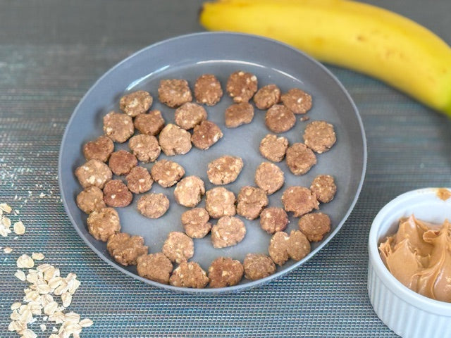 Peanut Butter Banana Oatmeal Dog Treats