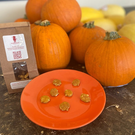 Pumpkin Paw Prints Dog Treats