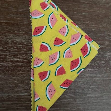 Watermelon Bandana