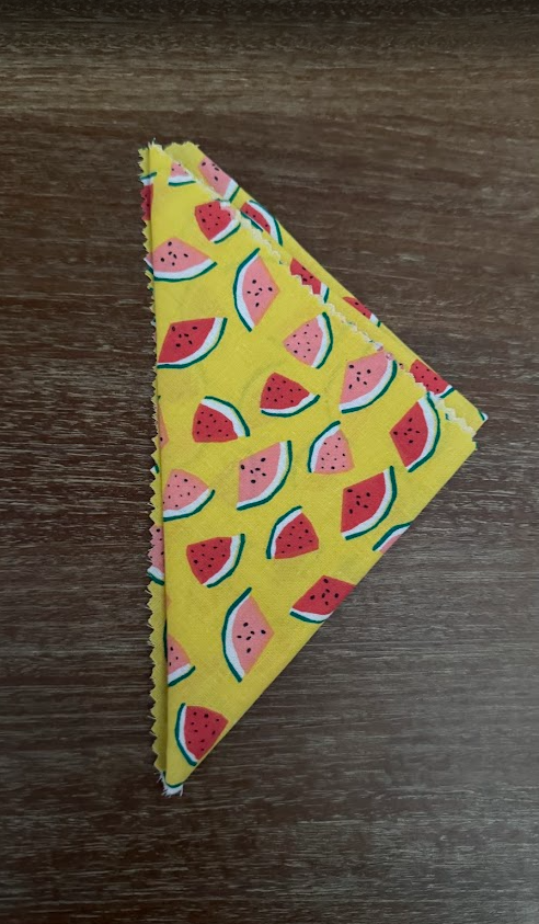 Watermelon Bandana